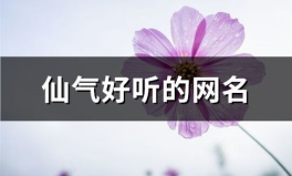 好听的网名大全,好听的网名大全精选