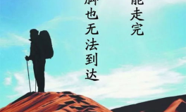 正能量语录每日分享,感悟人生智慧，激发生活热情
