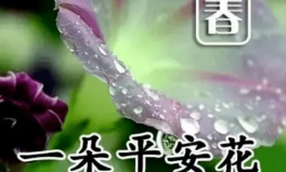 春意闹免费阅读,穿越古代，共度爱恨情仇