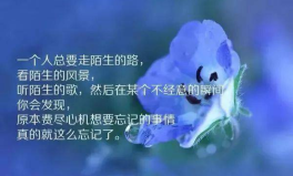 一发就会被秒赞的句子,朋友圈点赞神器句子集锦”